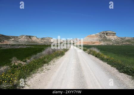 Der lange Feldweg führt durch grüne Wiesen und Berge unter tiefblauem Himmel, Bardenas Reales Natural Park, Bardena NegraDesert, Halbwüste, Navar Stockfoto