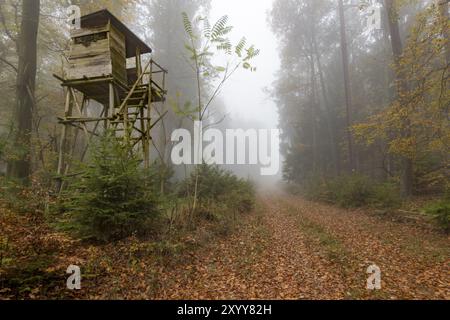 Hölzerner Jägersitz am Waldrand im Nebel im herbstlichen Kiefernwald vor einem verschwommenen Hintergrund Stockfoto