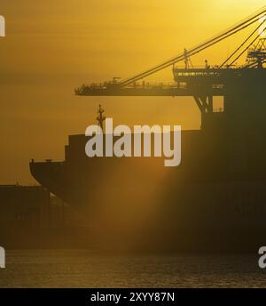 Seitenbogen und Brücke eines großen Containerschiffs im Hafen bei Sonnenuntergang Stockfoto