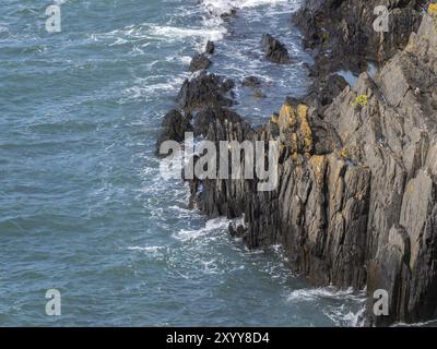 Surfen Sie an der zerklüfteten felsigen Küste von Pembrokeshire in Wales, Großbritannien, Europa Stockfoto