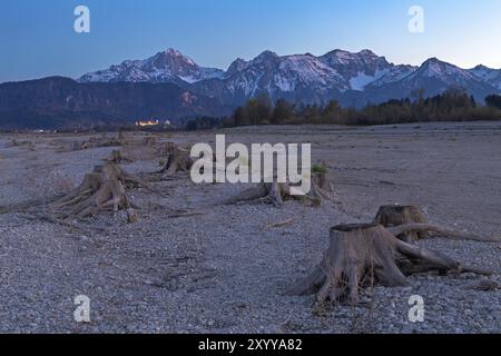 Baumstumpf im ausgetrockneten Forggensee nach Sonnenuntergang mit Blick nach Füssen Stockfoto