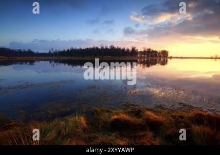 Farbenfroher Sonnenuntergang über dem wilden großen See in Dwingelderveld, Drenthe Stockfoto