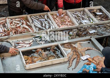 Vielfältige Auswahl an frischen Meeresfrüchten auf einem lokalen Fischmarkt. Das Display umfasst Tintenfisch, verschiedene Fischarten und Muscheln. Kunden, die aus verschiedenen Optionen wählen Stockfoto