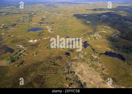 Botswana von oben Stockfoto