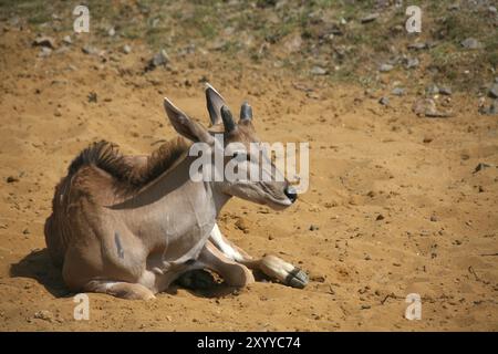 Kinder Stockfoto