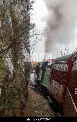 Eine Dampflokomotive Nr. 218A Klasse C16 der Zickzack-Bahn, die alte Touristenwagen für die Rückfahrt nach Clarence bei Lithgow in zieht Stockfoto