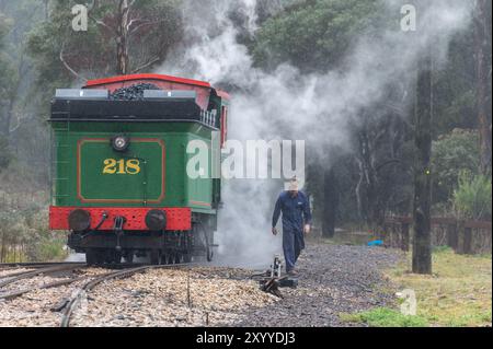 Eine Dampflokomotive Nr. 218A Class C16 hält für den Umstieg auf ein anderes Gleis in der kleinen Stadt Clarence bei Lithgow in den Blue Mountains von New South Stockfoto