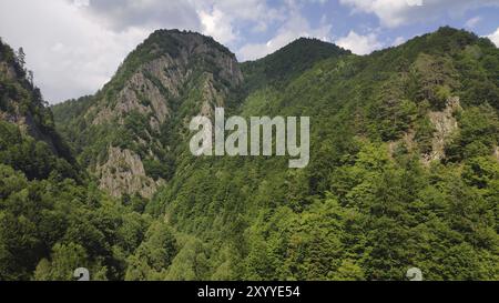 Fagaras-Gebirge, Südkarpaten, Rumänien, Europa Stockfoto