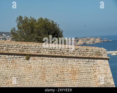 Festungsmauer an der Küste mit einem Baum und Blick auf das Meer im Hintergrund, ibiza, mittelmeer, spanien Stockfoto