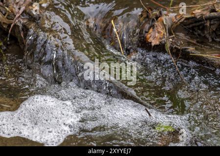 Ein klarer Bach fließt durch den Wald über einen Baumstamm mit Blättern und Ästen Stockfoto