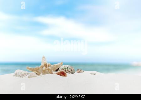 Urlaub, Strand, Reisen, Entspannungskonzept. Symbolischer Hintergrund mit Strandsand, verschiedenen bunten Muscheln, blauem Himmel, Wolken, Meer oder Ozean auf der Rückseite. M Stockfoto