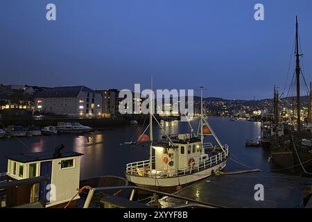 Fischerboote im Hafen bei Nacht mit leuchtenden Lichtern im Hintergrund, Nidarelva, Trondheim, Troendelag, Norwegen, Europa Stockfoto