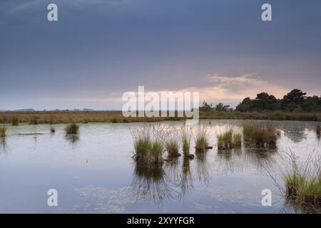 Wolkiger, düsterer Sonnenuntergang über dem wilden See, Fochteloerveen, Drenthe, Niederlande Stockfoto