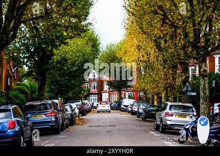 Ein Herbsttag in einer bezaubernden Londoner Straße, gesäumt von goldenen Bäumen, geparkten Autos und einer ruhigen Wohnatmosphäre. Die Schönheit des Londoner Alltags. Stockfoto