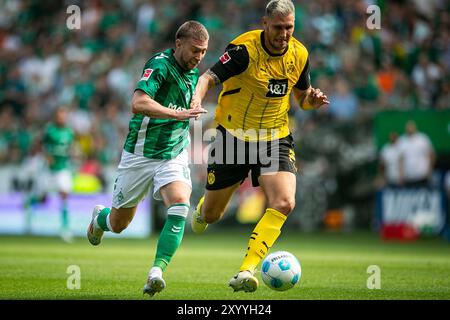 31.08.2024, WESERSTADION, GER, 1.FBL, SV Werder Bremen vs Borussia Dortmund im Bild Duell/Zweikampf zwischen Mitchell Weiser (Werder Bremen #08) gegen Niklas Süle/Suele (Borussia Dortmund #25), Foto © nordphoto GmbH/Rauch Gemäß den Vorgaben der DFL Deutsche Fußball Liga bzw. Des DFB Deutscher Fußball-Bund ist es untersagt, in dem Stadion und/oder vom Spiel angefertigte Fotoaufnahmen in Form von Sequenzbildern und/oder videoähnlichen Fotostrecken zu verwerten bzw. Verwerten zu lassen. Stockfoto