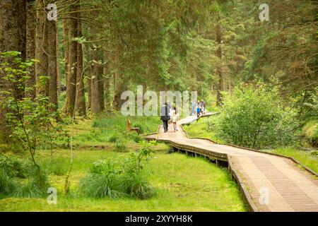 Rückansicht der entfernten Familie, die an einem verregneten Tag im Sommer auf der Uferpromenade im grünen Hafren Forest, Nr Llanidloes, Powys, Wales, spaziert. Stockfoto