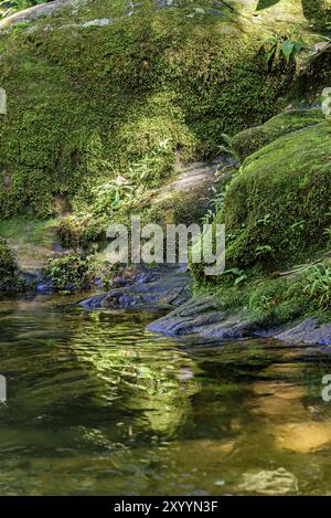 Kleiner Fluss und Wasserfall zwischen den Felsen der Itatiaia-Nationalpark in Penedo, Rio De Janeiro Stockfoto