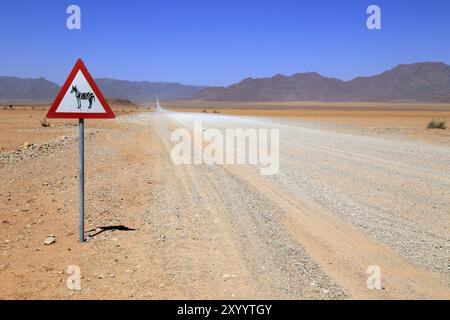 Schild Zebras überqueren Sie einen Schotterweg im Namibrand Nature Reserve in Namibia Stockfoto