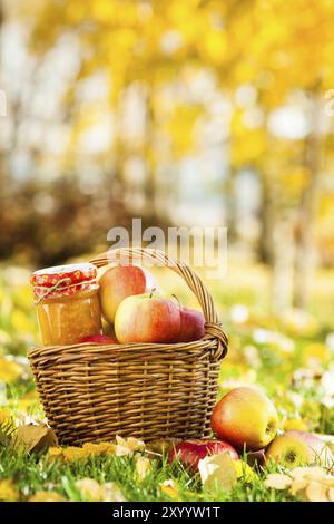 Hausgemachte Marmelade im Glas und Korb mit frischen, saftigen Äpfeln auf Gras. Konzept der Herbsternte Stockfoto