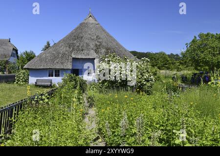 Blau-weißes Reethaus mit umliegenden Grünflächen vor klarem blauem Himmel, Rügen (Gross Zicker) Stockfoto