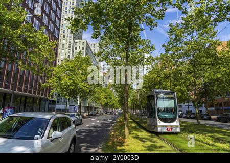 Städtische Begrünung, innerstädtische Straße Laan op Zuid, im Rotterdamer Stadtteil Feijenoord, 4 Fahrspuren, 2 Straßenbahnschienen, Radwege auf beiden Seiten, Gehsteige und p Stockfoto