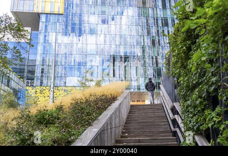 Grünflächen um Gebäude, hier bei Hogeschool Inholland Rotterdam, Pflanzbeete an Durchgängen, grüne Wände und Dächer, Rotterdam, Niederlande Stockfoto