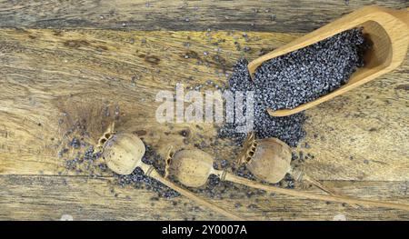 Schwarze Mohnsamen und getrocknete Mohnköpfe auf rustikalem Holztisch verstreut Stockfoto