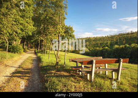 Landschaft mit Weg entlang einer Allee mit Ruhestätte im Herbst Stockfoto
