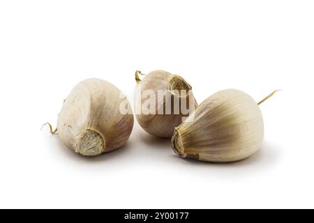 Knoblauchzehen isoliert auf weißem Hintergrund Stockfoto