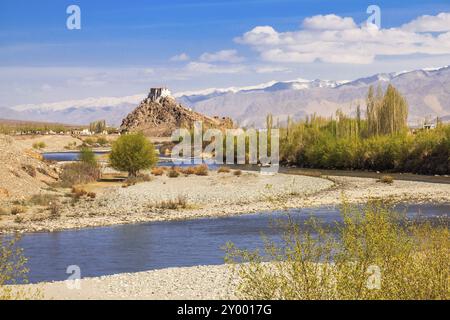 Kloster Stakna im Indus-Tal in Leh, Region Ladakh, Indien, Asien Stockfoto