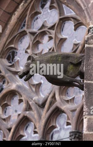 Gargoyle in der St. Mary's Church in Lemgo Stockfoto