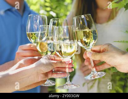 Feiern. Leute, die Gläser Weißwein halten und einen Toast machen. Familienessen im Freien im Garten im Sommer bei Sonnenuntergang. Picknick-Speisen und -Getränke c Stockfoto