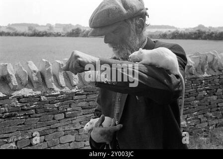 Fred Abel Red Abel, der Esel, campte am Straßenrand, hier mit zwei zahmen Ratten. Fred spielte einen ein-Mann-Band-Tierzirkus namens Fred Abel Circus. Wie im TV Animal Antic zu sehen. Bibury, Gloucestershire, England, 1968 1960er Jahre Großbritannien HOMER SYKES Stockfoto