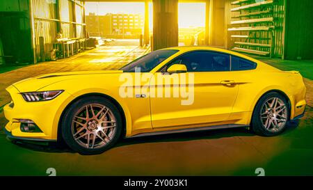 Ford Mustang 5,0 Stockfoto