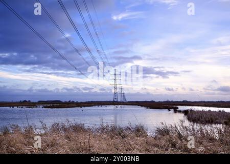 Hochspannungsleitung über Sumpf in Groningen Stockfoto