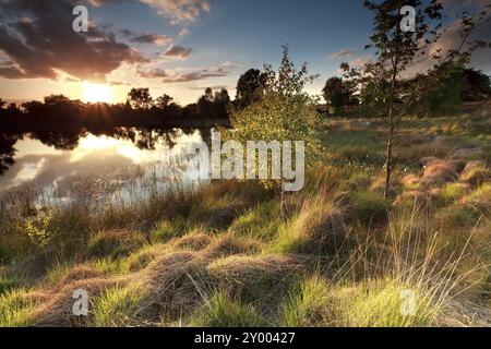 Wunderschöner Sonnenuntergang über dem wilden See, North Brabant, Niederlande Stockfoto