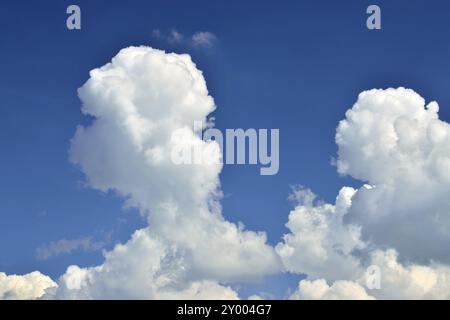 Weißen Cumuluswolken gegen blauen Himmel closeup Stockfoto