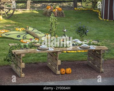 Ein dekorierter Holztisch im Garten, umgeben von Kürbissen und Blumen und eine große Schmetterlingsdekoration, borken, münsterland, Deutschland, Europa Stockfoto