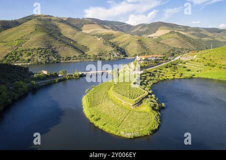 Douro Weintal Region Drohne Luftaufnahme von s Form biegen Fluss in Quinta do Tedo bei Sonnenuntergang, in Portugal Stockfoto