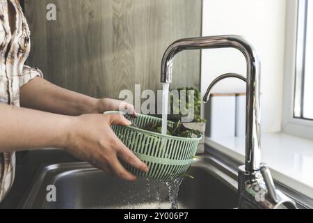 Frau wäscht grüne Salatblätter für Salat in der Küche im Waschbecken. Stockfoto