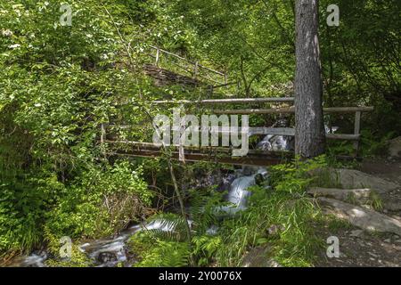 Kleiner Wasserfall am Schenner Waalweg oberhalb der Schenna bei Meran, Südtirol Stockfoto