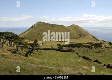 Parasitenkrater und Felder im östlichen Hochland, auf der Insel Pico, den Azoren, Portugal, Europa Stockfoto