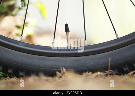 Presta-Ventil an einem Radrad in Nahaufnahme Stockfoto