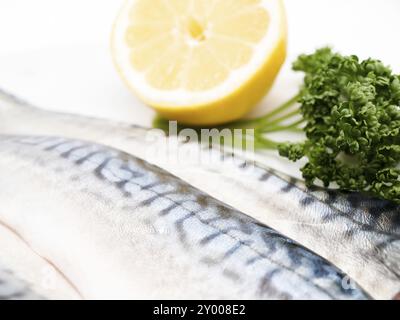Rohes Makrelenfilet mit einer halben Zitrone und grüner Petersilie Stockfoto