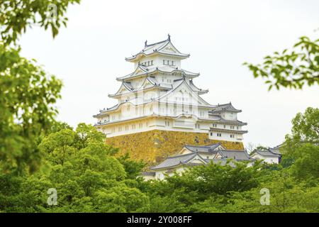 Bäume und Blätter framing die schöne Details von Himeji-jo Burg an bewölkten Tag in Himeji, Japan nach 2015 Renovierungen abgeschlossen Stockfoto