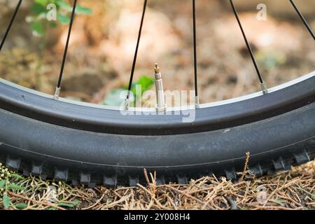 Presta-Ventil an einem Radrad in Nahaufnahme Stockfoto