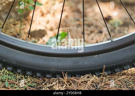 Presta-Ventil an einem Radrad in Nahaufnahme Stockfoto