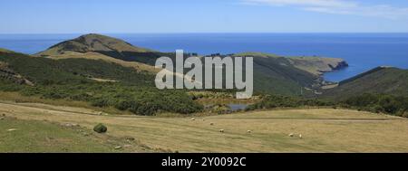 Wunderschöne Landschaft auf der Banks Peninsula, Neuseeland. Ländliche Landschaft und Pazifik Stockfoto