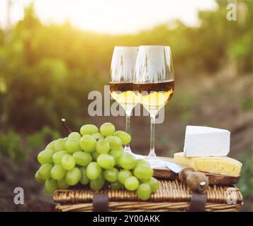 Verschiedene Arten von Käse, Weintrauben und zwei Gläser Weißwein im Weinberg Stockfoto