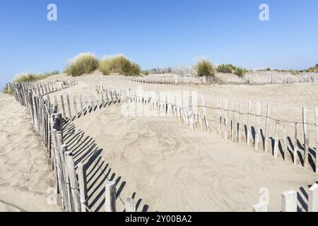 Dünenlandschaft am Strand L'espiguette in der Camargue, Südfrankreich Stockfoto